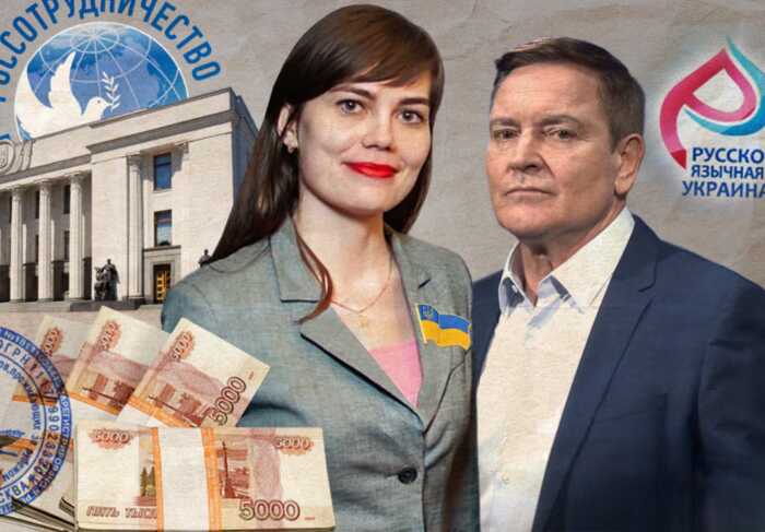 Російські гранти, батько з ВПК РФ і експертиза для Ради: хто така Яна Салміна і чому вона впливає на закони України