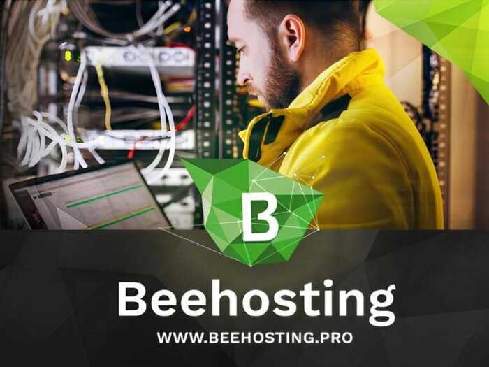 BeeHosting без бізнесу і грошей: естонська юрособа без виручки, але з хостингом для РФ і російськими платіжками