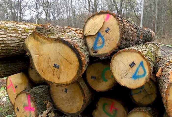 600 мільйонів гривень на дрова для армії: тилові КЕВ уклали десятки контрактів із фіктивними ФОПами та фірмою з кримінальним шлейфом