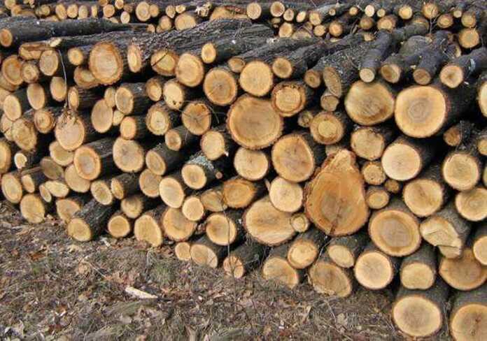 Завгосп ЗСУ підняв ціну дров до 282 мільйонів  після корупційного скандалу