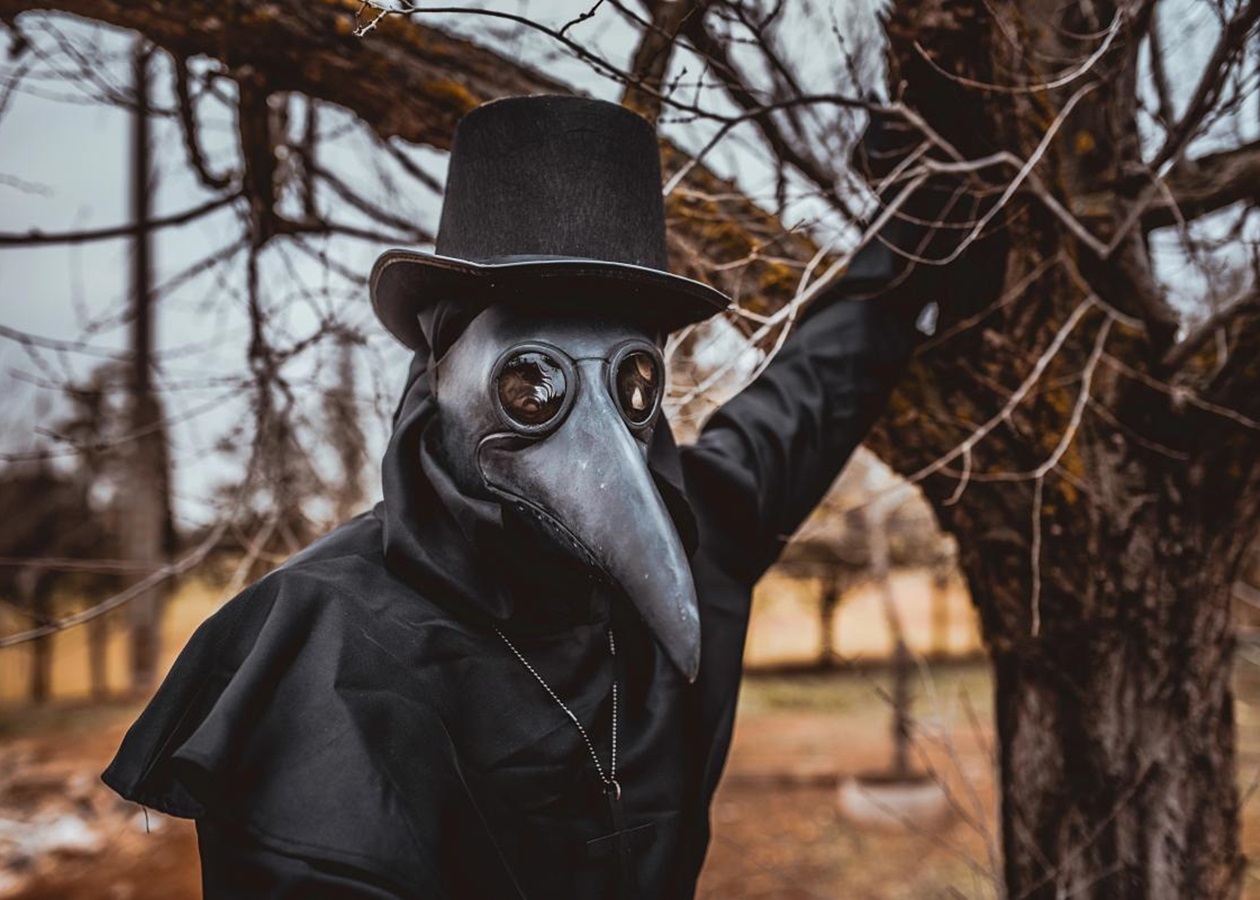 Чорна смерть у Європі: вчені пояснили зникнення рослин