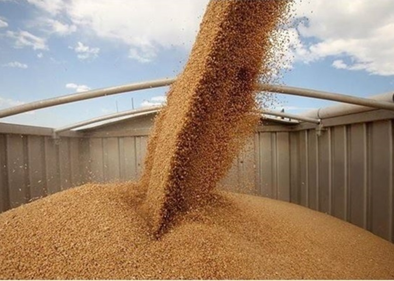 У березні експорт агропродукції зріс на 10,8%