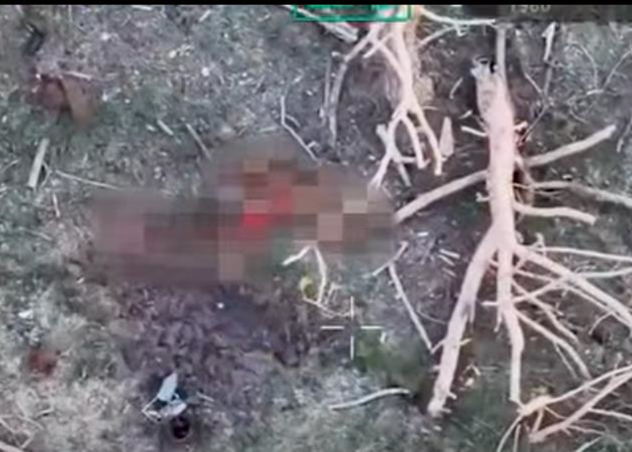 Військові показали знищення окупантів на Сумщині