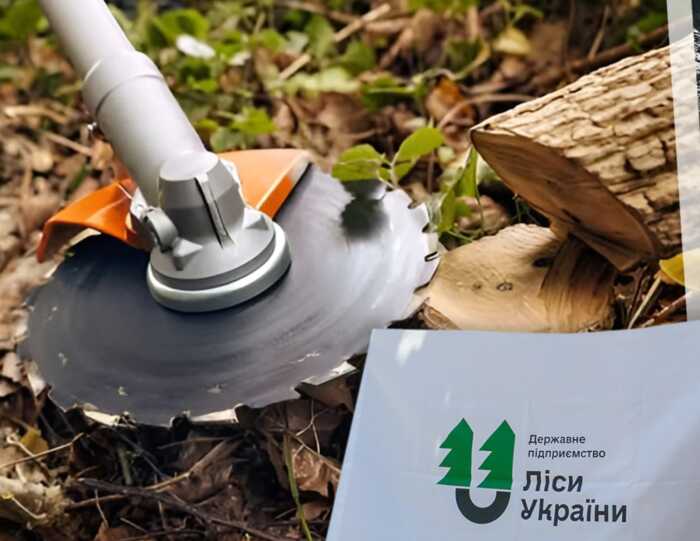 Одна мотокоса на сотні гектарів: як “Ліси України” віддають мільйони підприємцям без техніки та штату