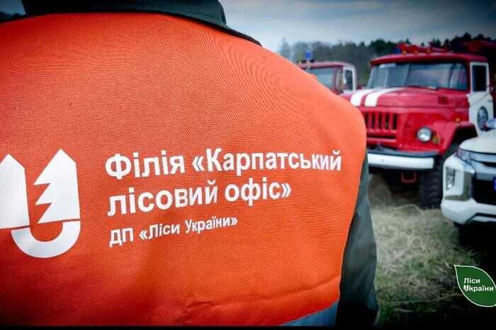 «Ліси України» влаштували масове звільнення прибиральниць, щоб прокрутити тендер на 45 мільйонів через фірму-прокладку