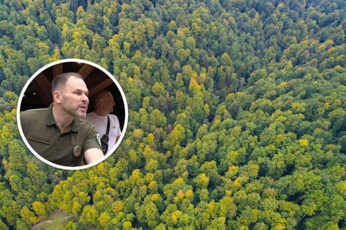 «Чорні лісоруби» завдали Карпатському нацпарку збитків майже на 5,8 мільйона гривень