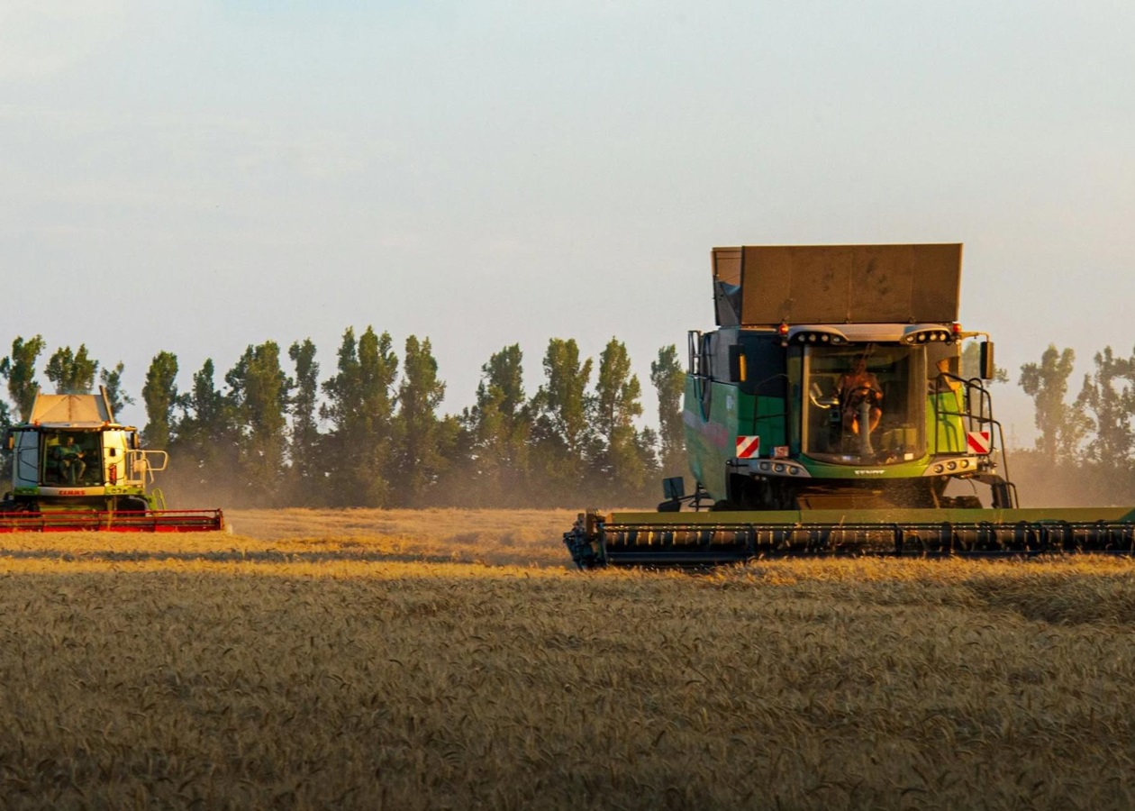 Україна наростила експорт зерна на понад 50%