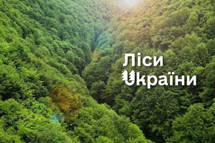 ДП «Ліси України» оголосило тендер на 11 мільйонів гривень із вимогами під конкретного виробника Fortinet