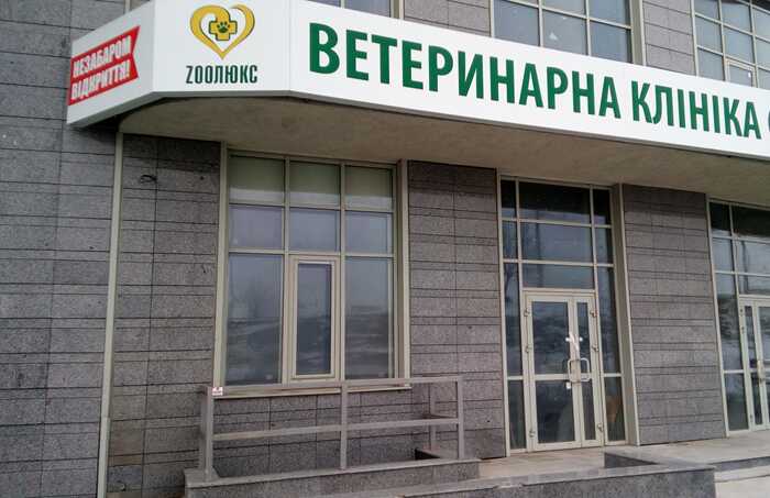 «Зоолюкс» — конвеєр смерті на 400 мільйонів гривень: як мережа ветклінік без належних ліцензій заробляє на лікуванні тварин
