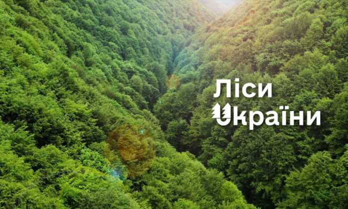 26,8 мільйона гривень на підконтрольні компанії: НАБУ викрило ймовірні схеми на «Укрзалізниці» та «Лісах України»